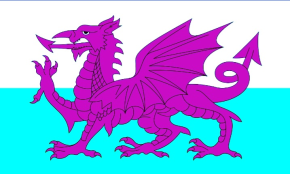 Cardiff's flag